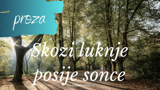SKOZI LUKNJE POSIJE SONCE