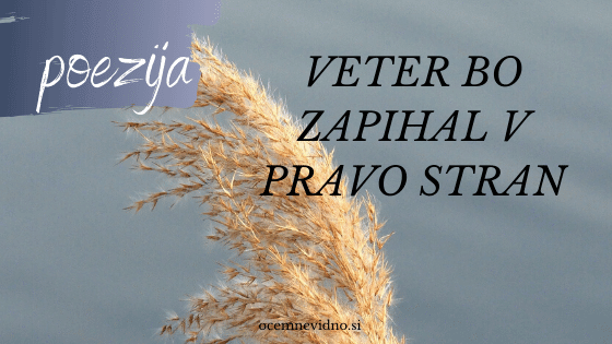 VETER BO ZAPIHAL V PRAVO STRAN
