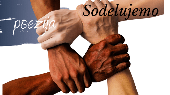 Sodelujemo